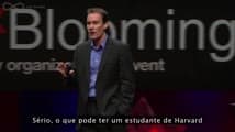 Uma Introdução ao Storytelling - Parte V